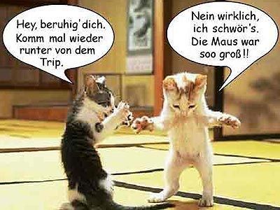 lustige Tiere - 