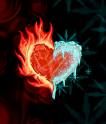 Heart - 