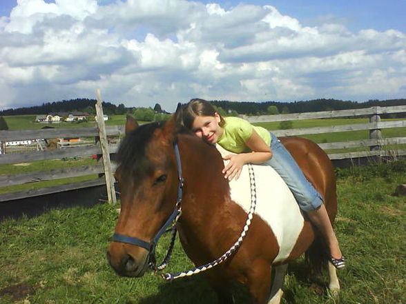 My Horse and I - 