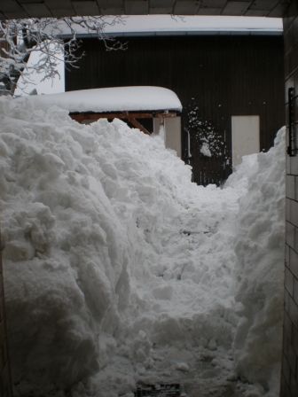 Schnee 2008/09 - 