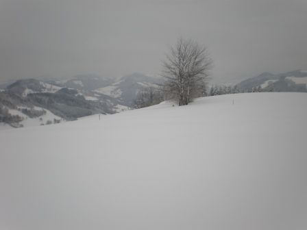 Schnee 2008/09 - 