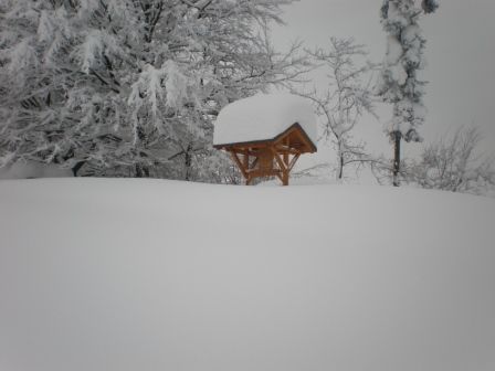 Schnee 2008/09 - 