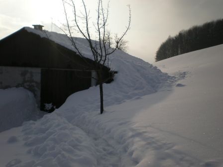 Schnee 2008/09 - 