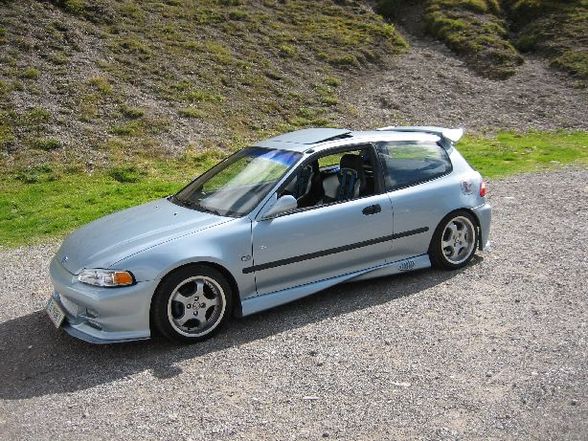 mein Civic - 