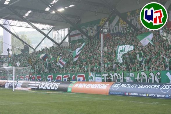 rapid wien - 