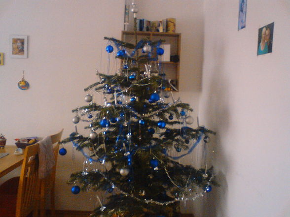 •★•  Mein erstes Weihnachten •★•   - 