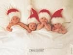 Baby Anne Geddes - 