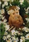 Baby Anne Geddes - 