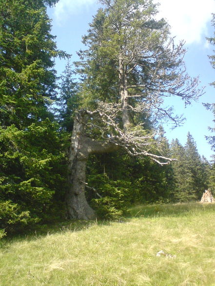 Ramsau Molln Bundesheerübungen - 