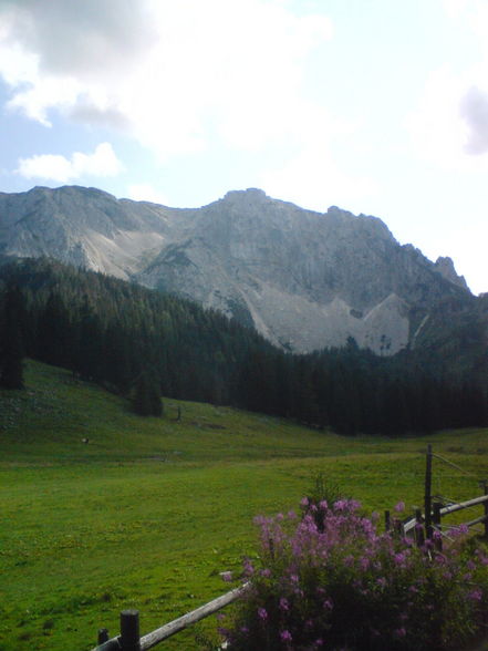 Ramsau Molln Bundesheerübungen - 