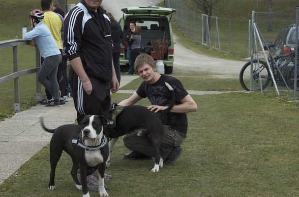 Hundeschule Gleink - 