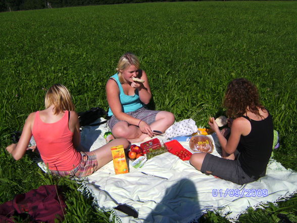 Picknick - 