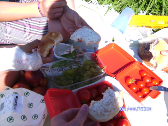 Picknick - 