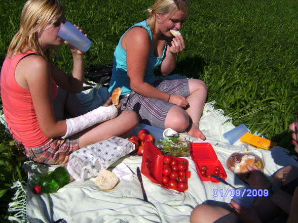 Picknick - 