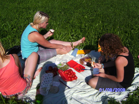 Picknick - 