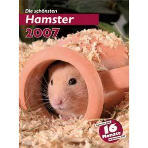 lolige hamster und katzen - 