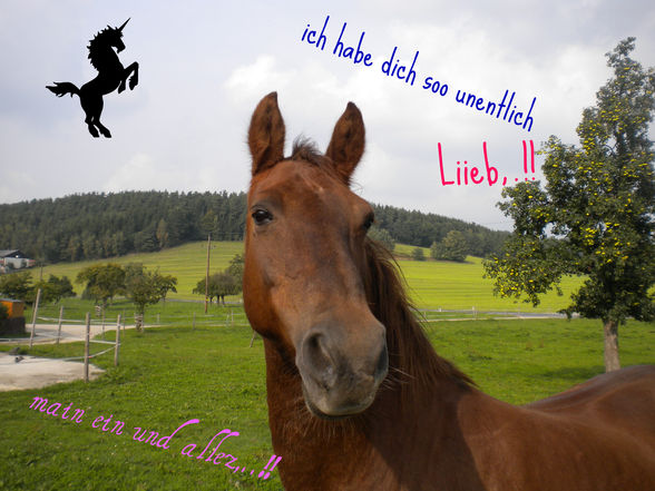 Verdammt ich lieb dich,..!!♥ - 