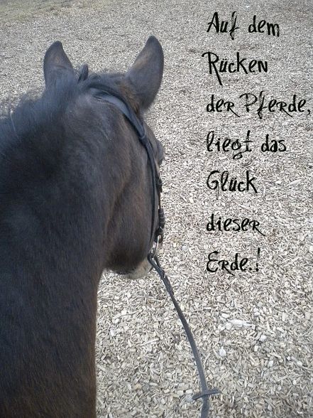 Leben.! - 