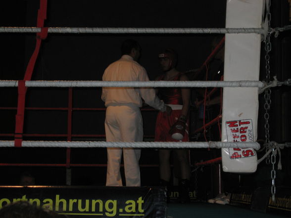 Boxen 2008/09 - 