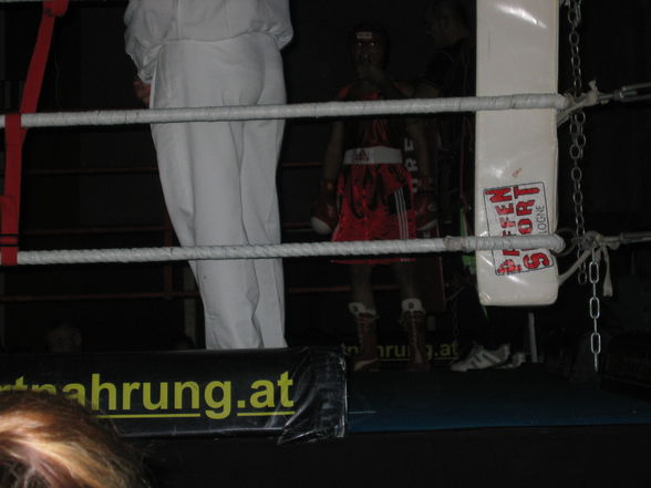 Boxen 2008/09 - 