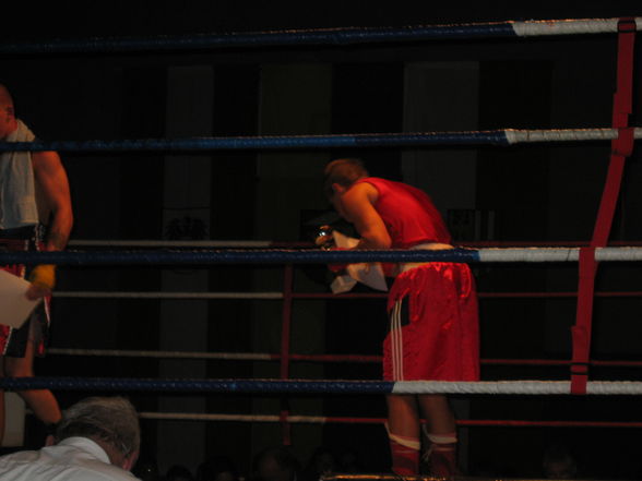 Boxen 2008/09 - 