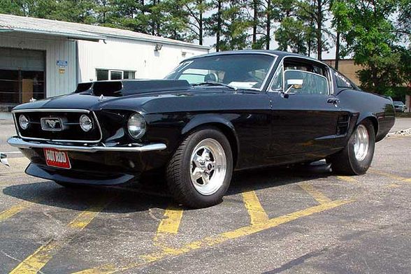 Mustang - 