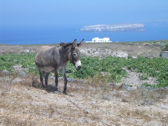 Santorin 2005 - 