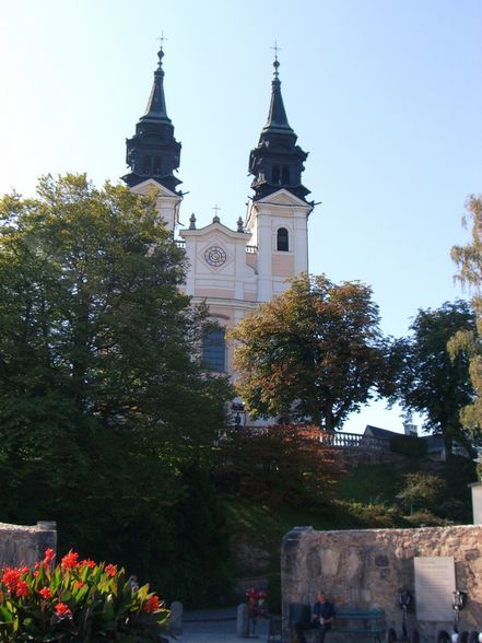 Segwaytour Pöstlingberg - 