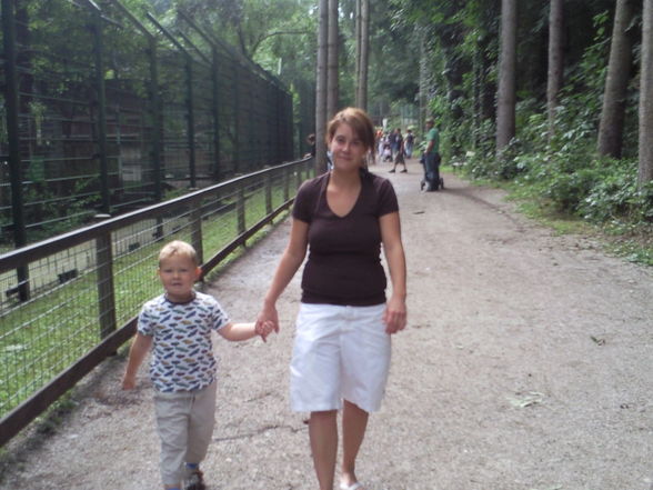 tierpark - 