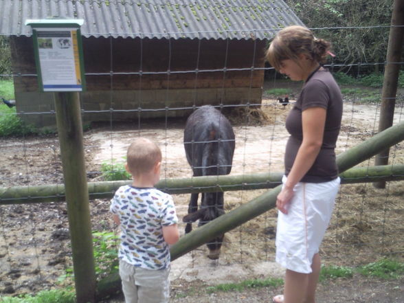 tierpark - 