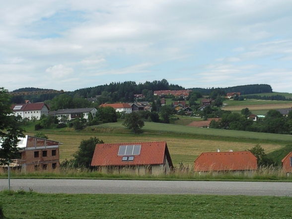 Altenberg - Da lebe ich - 