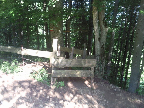 Wanderung Grünburgerhütte-Hochburgberg - 