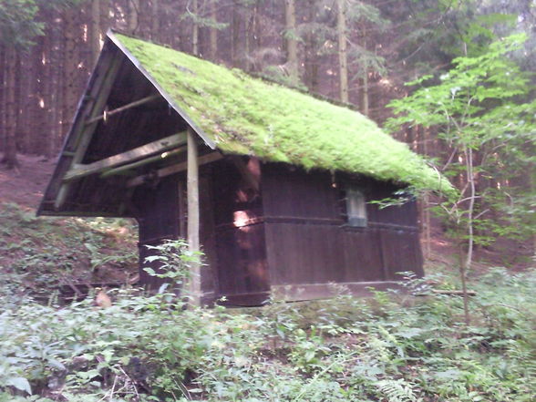 Wanderung Grünburgerhütte-Hochburgberg - 