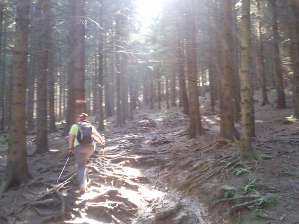 Wanderung Grünburgerhütte-Hochburgberg - 