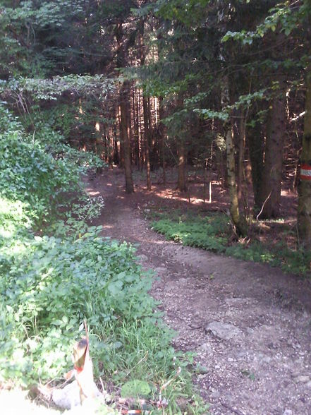 Wanderung Grünburgerhütte-Hochburgberg - 