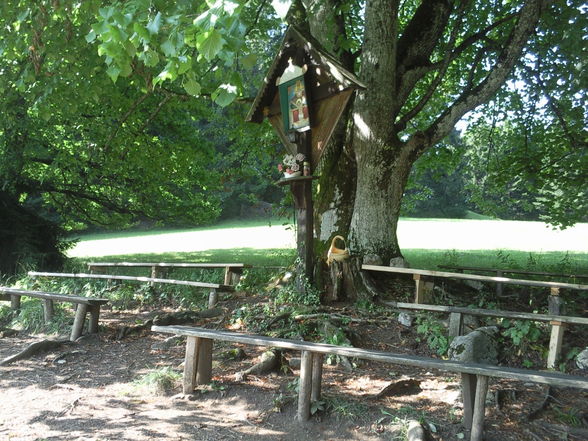 Wanderung Grünburgerhütte-Hochburgberg - 