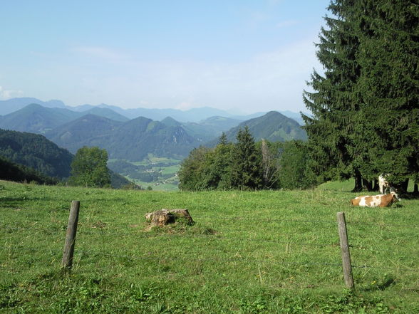 Wanderung Grünburgerhütte-Hochburgberg - 