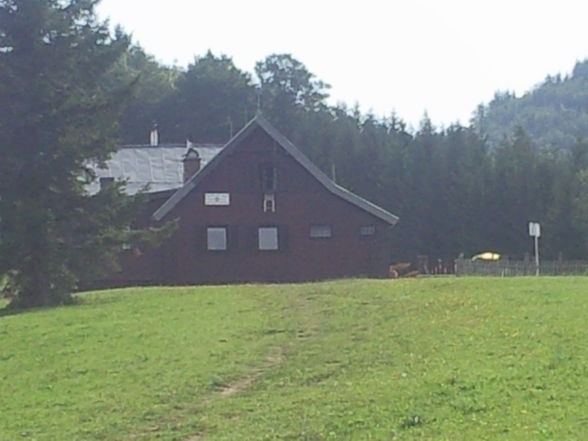 Wanderung Grünburgerhütte-Hochburgberg - 