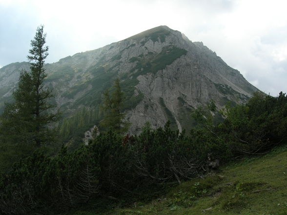 Bärenalm-Türkenkarkopf - 20.9.2009 - 