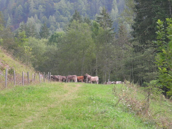 Bärenalm-Türkenkarkopf - 20.9.2009 - 