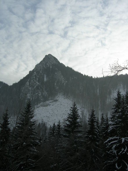 Windhagkogel - 6.1.2010 - 