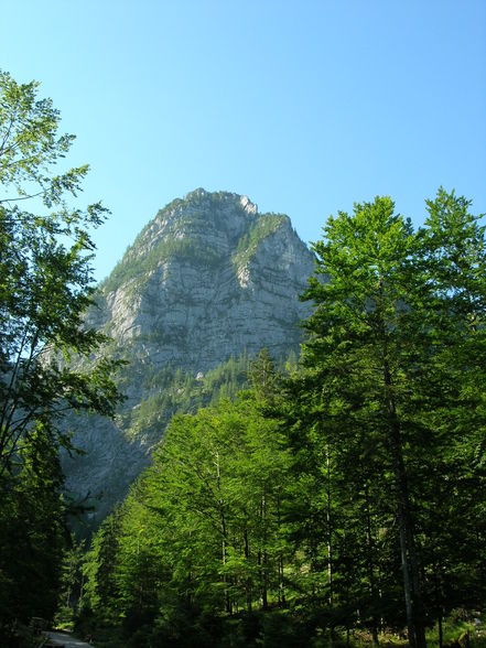 Ebenseer Hochkogel - 29.6.2010 - 