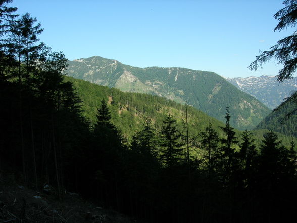 Ebenseer Hochkogel - 29.6.2010 - 