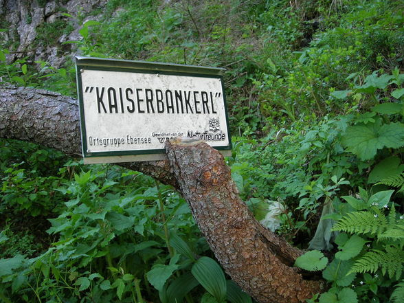 Ebenseer Hochkogel - 29.6.2010 - 