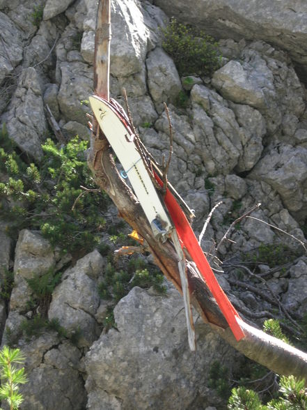 Ebenseer Hochkogel - 29.6.2010 - 