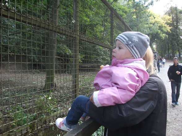 tierpark - 