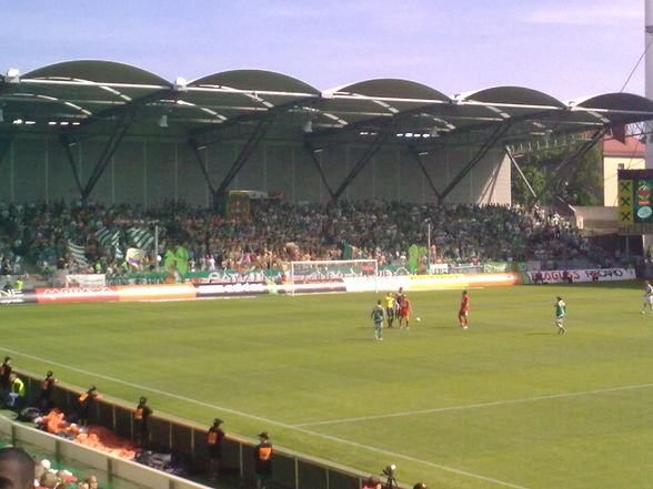 SK Rapid Wien - SV Mattersburg - 