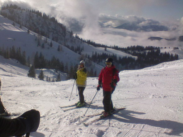 skifahren 2008/2009 - 