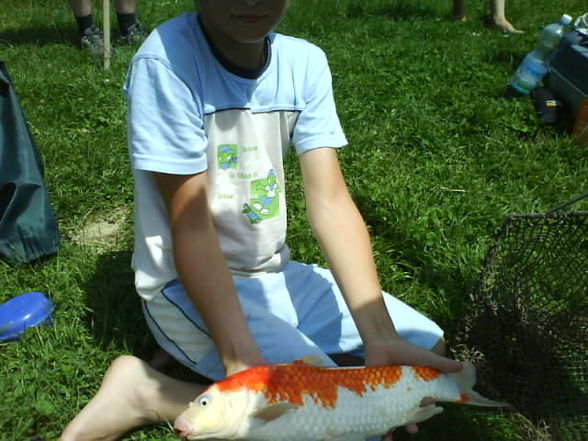 Fische - 