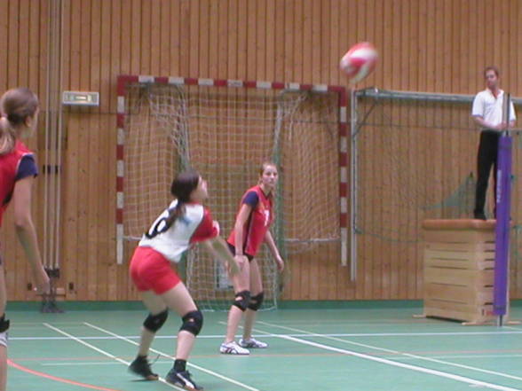 volleyball - 